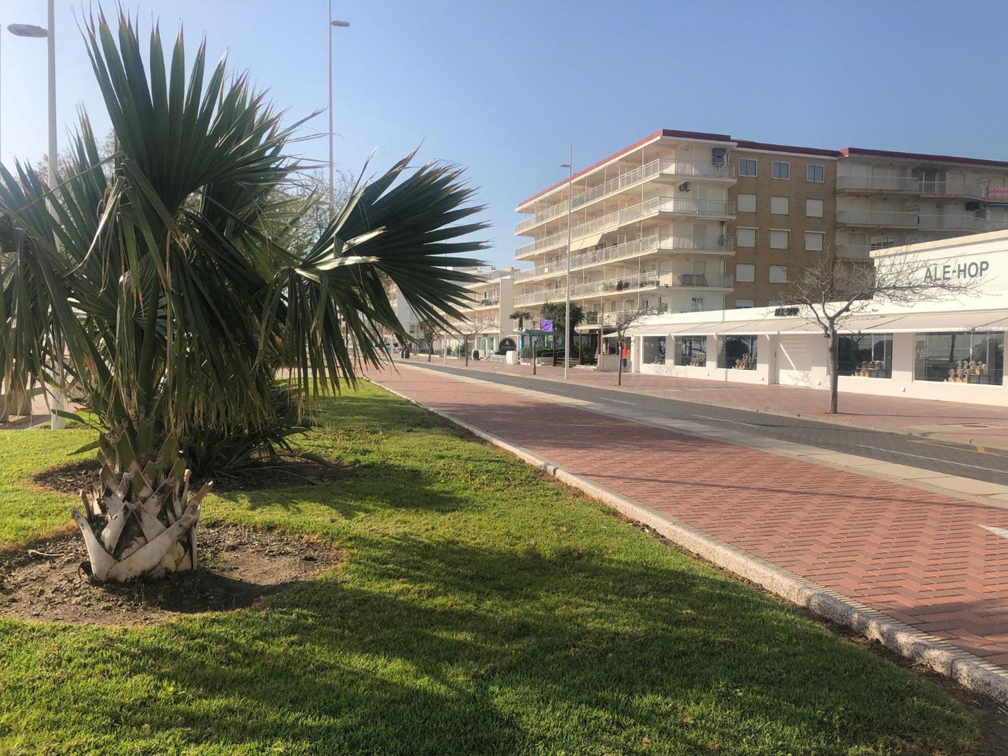 Playa De Gandia 1Ere Ligne El Galeon Διαμέρισμα Εξωτερικό φωτογραφία